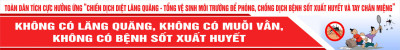 Toàn dân tích cực hưởng ứng "Chiến dịch diệt lăng quăng - tổng vệ sinh môi trường để phòng chống dịch bệnh sốt xuất huyết và tay chân miệng"