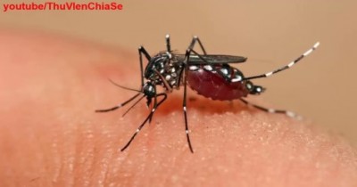 TRIỆU CHỨNG BỆNH VIÊM NÃO DO VI RÚT