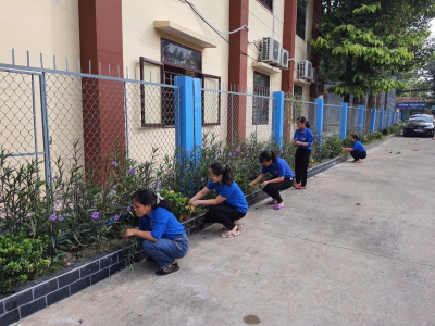 MN Hoa Mai tổng vệ sinh cuối tháng