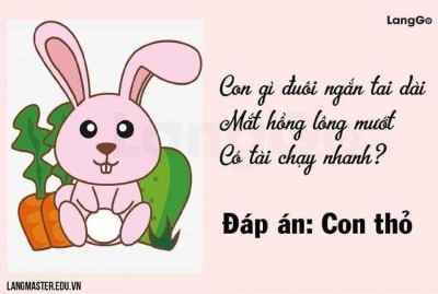 THƠ HAY CHO BÉ