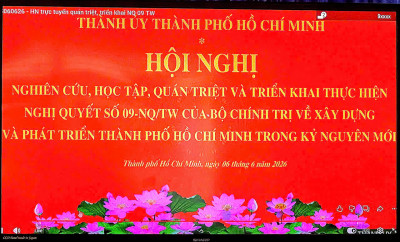 CHI BỘ TRƯỜNG MẦM NON HOA MAI THAM DỰ HỘI NGHỊ NGHIÊN CỨU, HỌC TẬP, QUÁN TRIỆT VÀ TRIỂN KHAI THỰC HIỆN NGHỊ QUYẾT SỐ 09-NQ/TW CỦA BỘ CHÍNH TRỊ