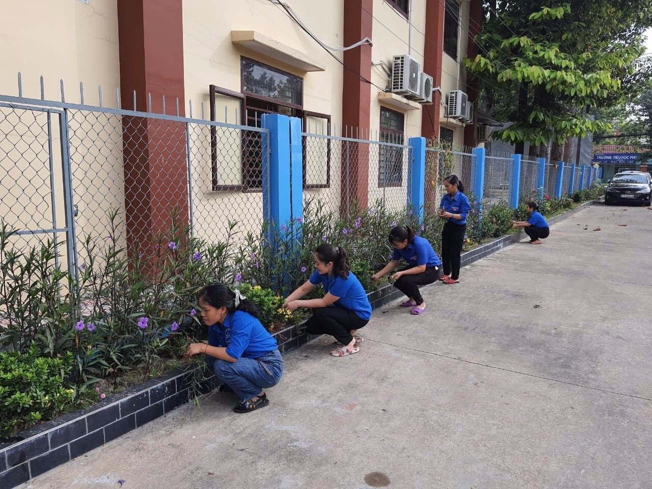 MN Hoa Mai tổng vệ sinh cuối tháng