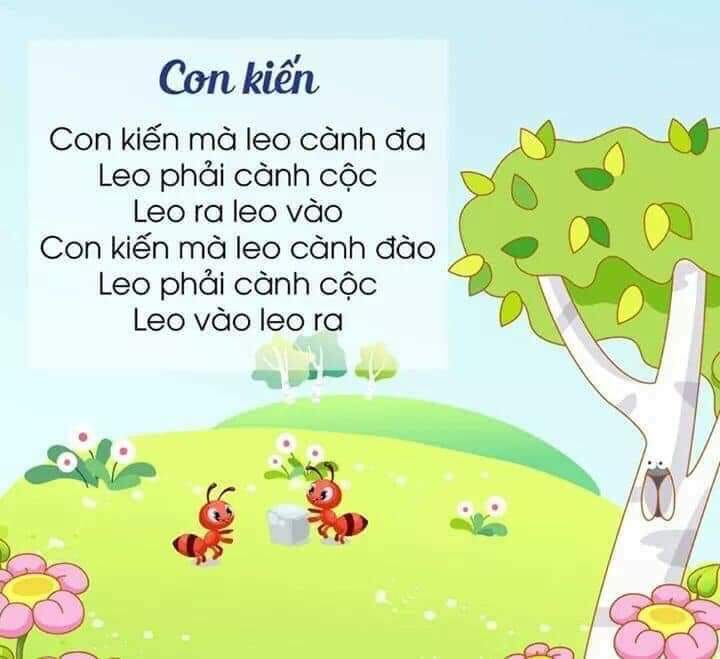 z2547915957177 a4d0e8929d4ae5db82de5af6fe58cf8f