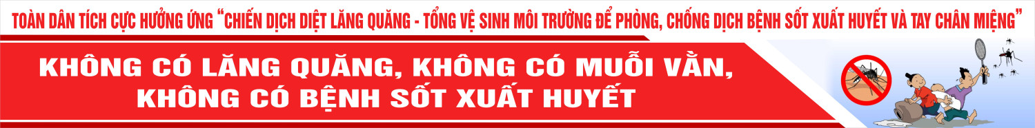 Toàn dân tích cực hưởng ứng "Chiến dịch diệt lăng quăng - tổng vệ sinh môi trường để phòng chống dịch bệnh sốt xuất huyết và tay chân miệng"