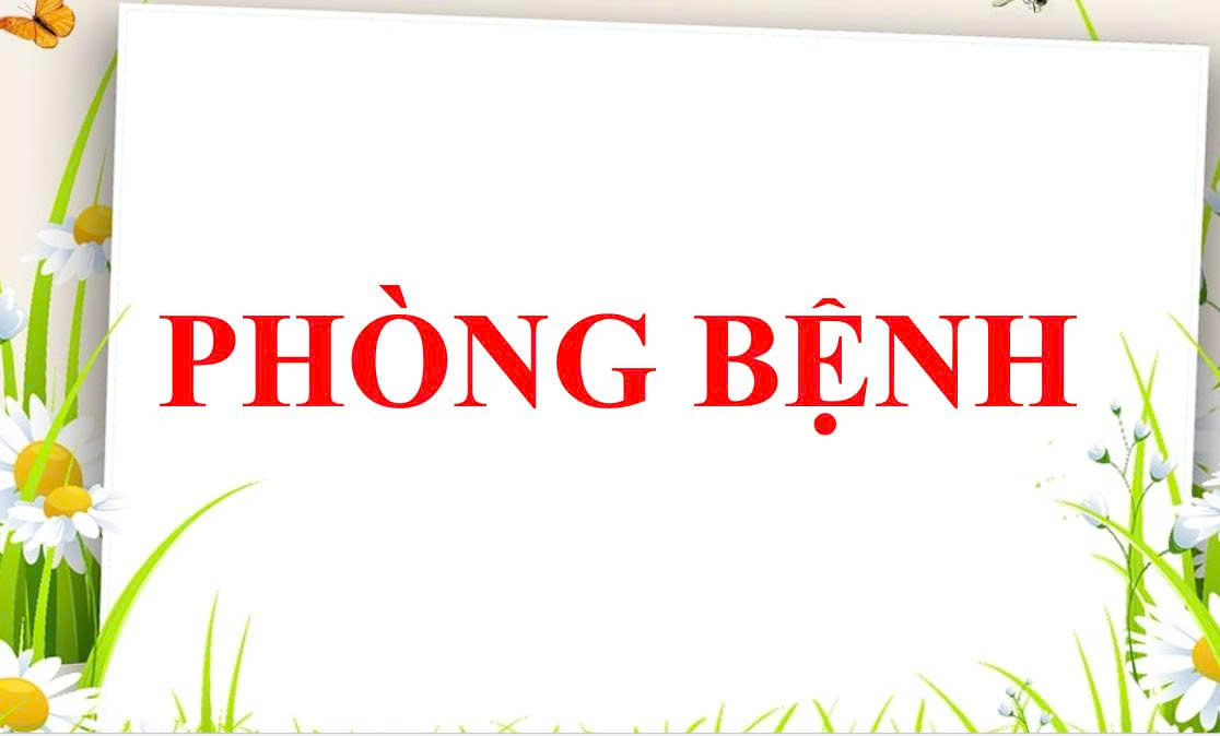 5 HÀNH ĐỘNG THEN CHỐT PHÒNG BỆNH TAY-CHÂN-MIỆNG